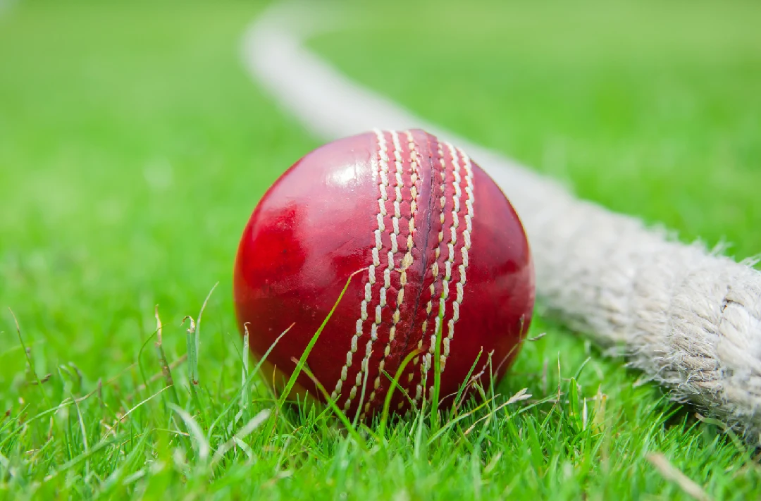 Cricket Ball